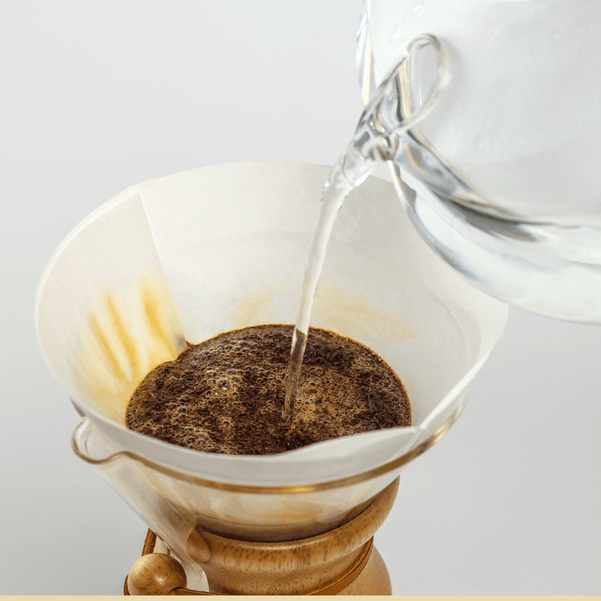 Bonded Filters | Circle | Chemex - Coffee - 100 Count