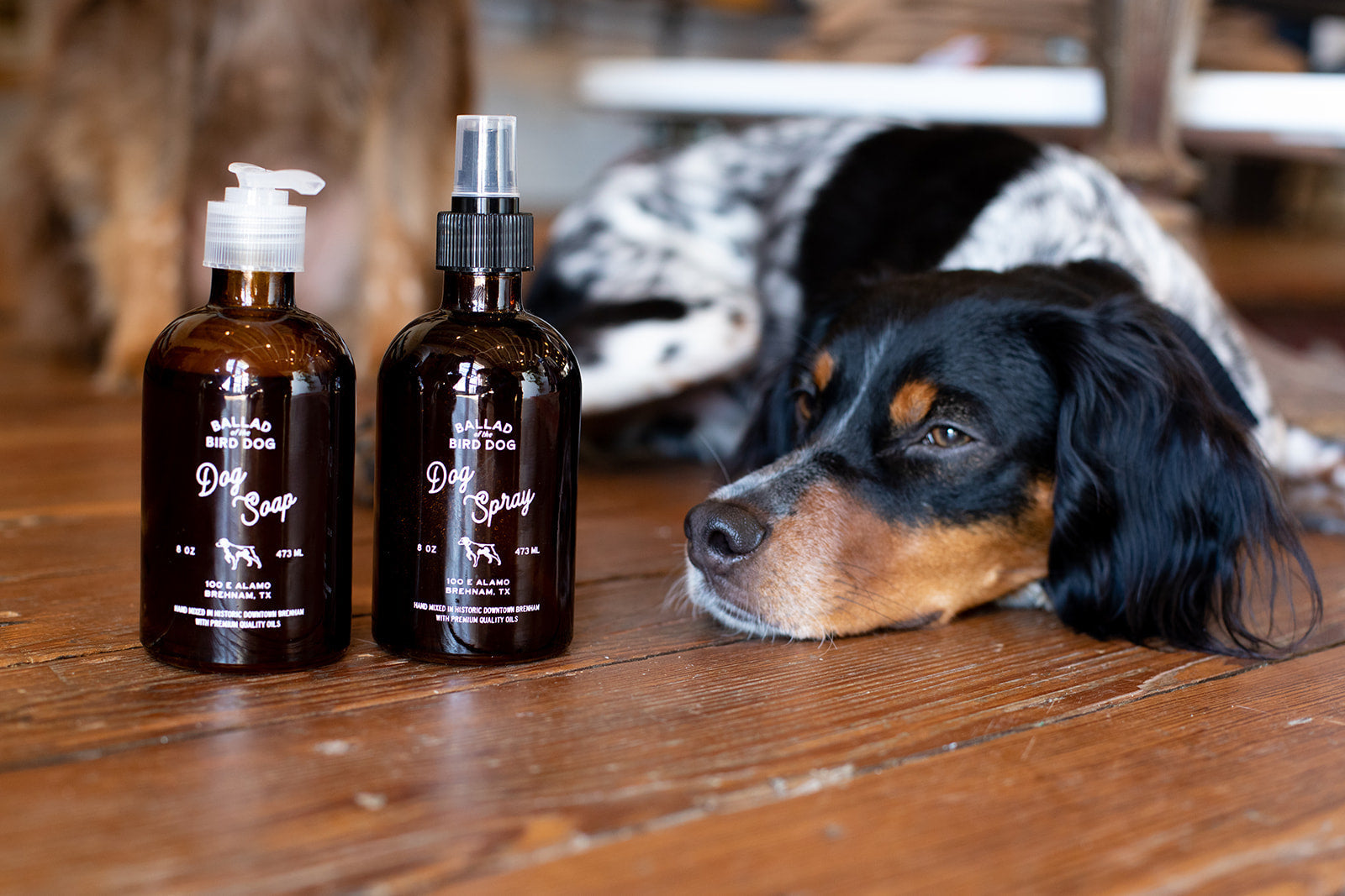 Dog Soap | Ballad Of The Bird - Love Your Pet Product Made